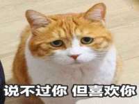 滑县北科塑料厂